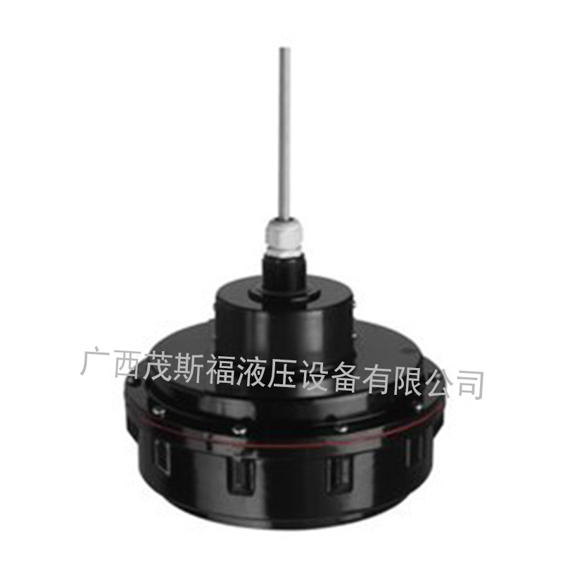 蘭州超聲波物位變送器 FDU95-R1N2A 德國E+H恩德斯豪斯 